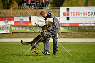 Freya vom Dahlhauser Schloßpark