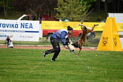 G'Dracarys Force Canina