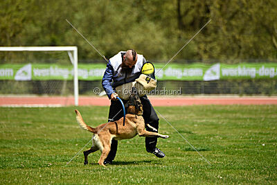 G'Dracarys Force Canina