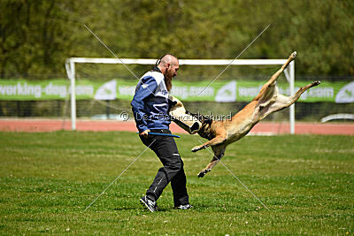 G'Dracarys Force Canina