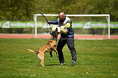 G'Dracarys Force Canina