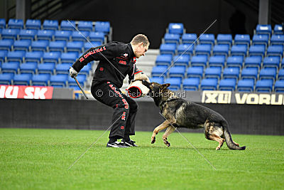 Galax de Jardines del Real