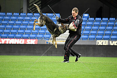 Galax de Jardines del Real