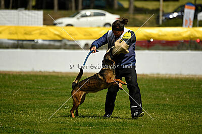 Genius Team Veranis K-9 Center