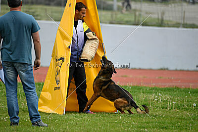 Genius Team Veranis K-9 Center