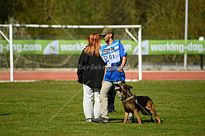 Genius Team Veranis K-9 Center