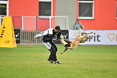 Gento la Mistero de Montani