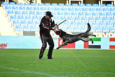 Gero z Berounske basty