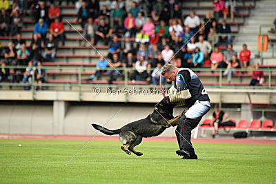 Gero z Berounske basty