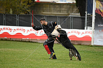 Gero z Berounske basty