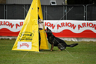 Gero z Berounske basty