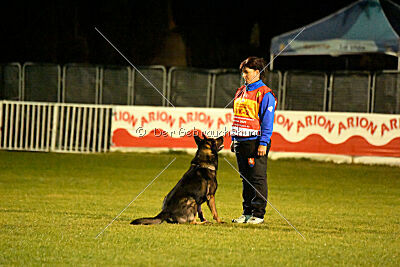 Gero z Berounske basty