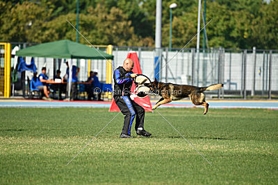 Gesper vom Wolfisherde