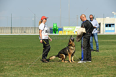 Gesper vom Wolfisherde