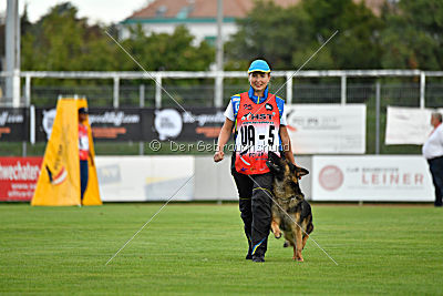 Gesper vom Wolfisherde