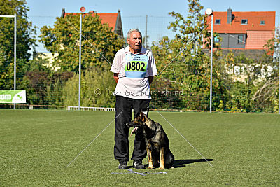 Giddo vom Federsee