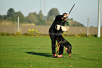 Grace von der Leibgarde