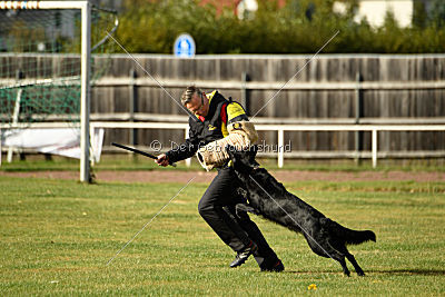 Gråmanns Brand