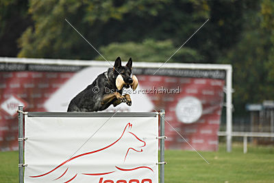 Gucci vom Kalten Born