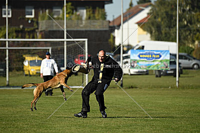 Gun vom Lausitzeck