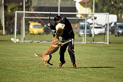 Gun vom Lausitzeck