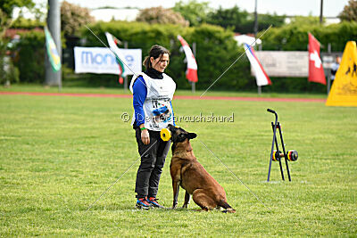 Harley Quinn Force Canina