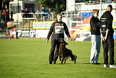 Haska vom Wolfsmoor