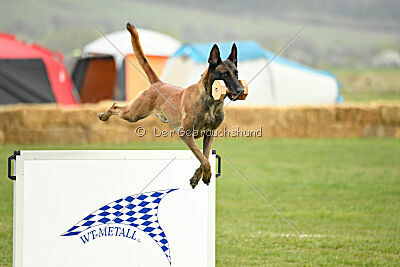 Hector vom Roten Sturm