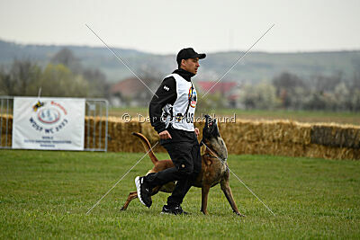 Hector vom Roten Sturm