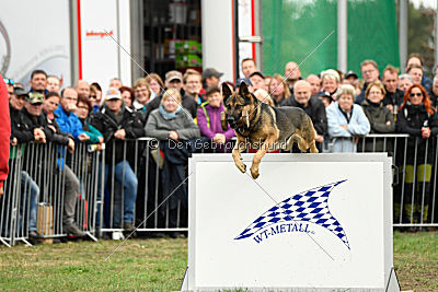 Henrik vom Wolfsheim