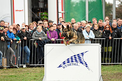 Henrik vom Wolfsheim