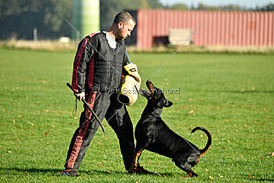 Hermanus of the two Roses