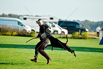 Hermanus of the two Roses