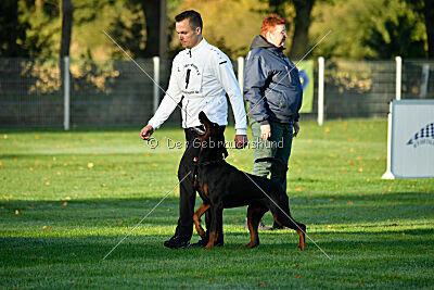 Hermanus of the two Roses