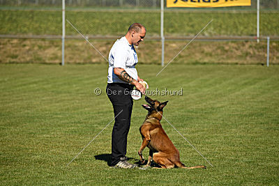 High Drives Carlo