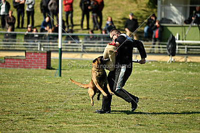 High Drives Harko