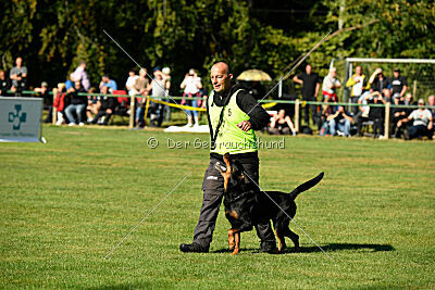 Hobbit vom Tanneneck