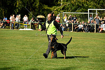 Hobbit vom Tanneneck