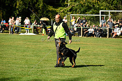 Hobbit vom Tanneneck