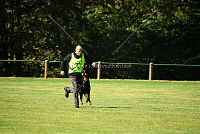 Hobbit vom Tanneneck