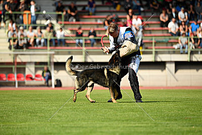 Hohenburg Aaron