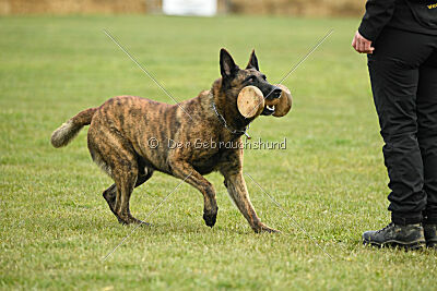 Holland Rasco van Le Dobry