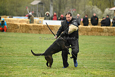 Holland Vato Loco van le Dobry