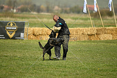 Holland Vayen van Le Dobry