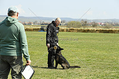 Holland Vayen van Le Dobry