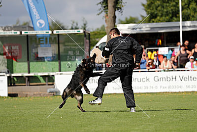 HotShot vom Hessenstein