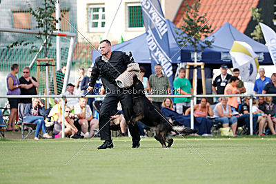 HotShot vom Hessenstein