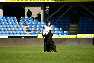 HotShot vom Hessenstein