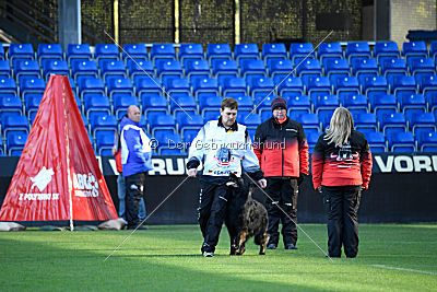 HotShot vom Hessenstein