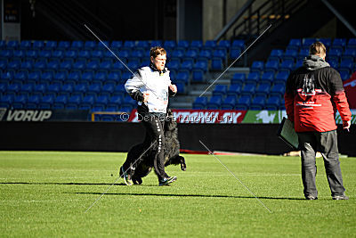 HotShot vom Hessenstein